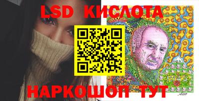 крисы Кулебаки