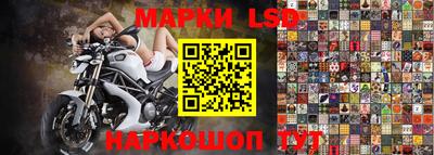 крисы Кулебаки