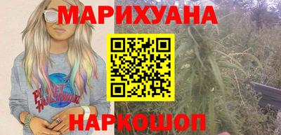 крисы Кулебаки