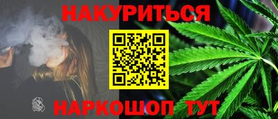 крисы Кулебаки