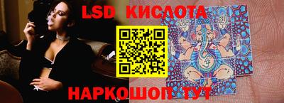крисы Кулебаки
