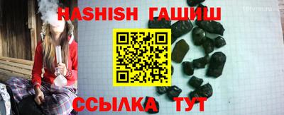крисы Кулебаки