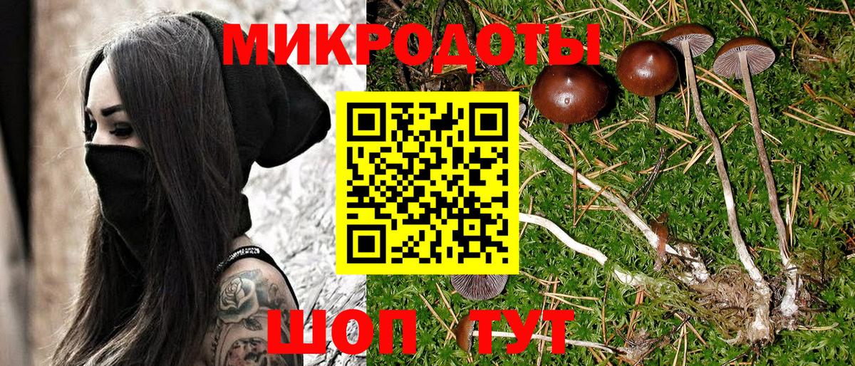 APVP Гудермес