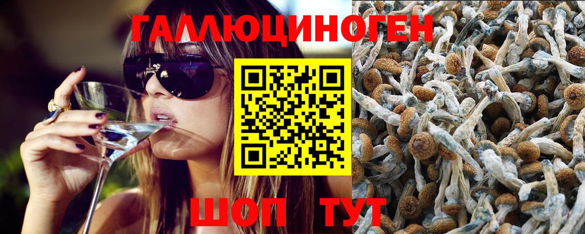 Гудермес  Галлюциногенные грибы MAGIC MUSHROOMS  Галлюциногенные грибы Magic Shrooms  купить наркоту  Вход с VPN 