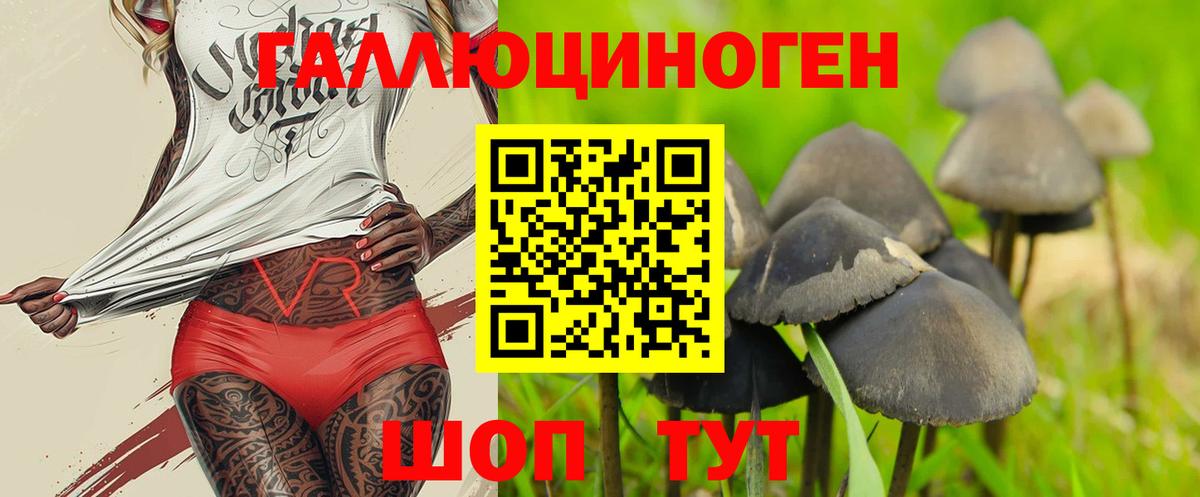 Галлюциногенные грибы мухоморы Гудермес